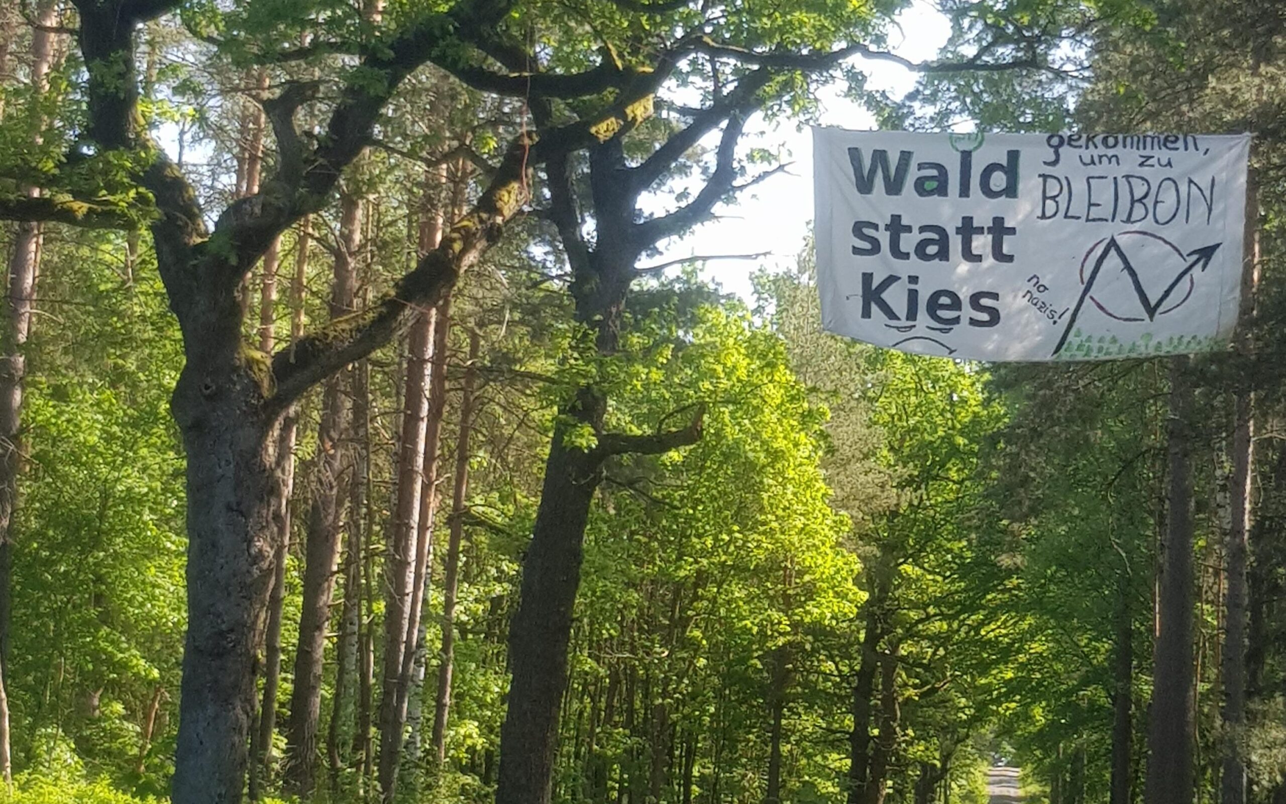 Eingangsbanner des Heibos. Auf dem Banner steht "Wald statt Kies - gekommen um zu Bleiben"